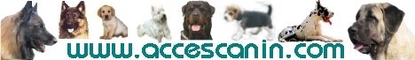 Accescanin : Tout Pour le Chien